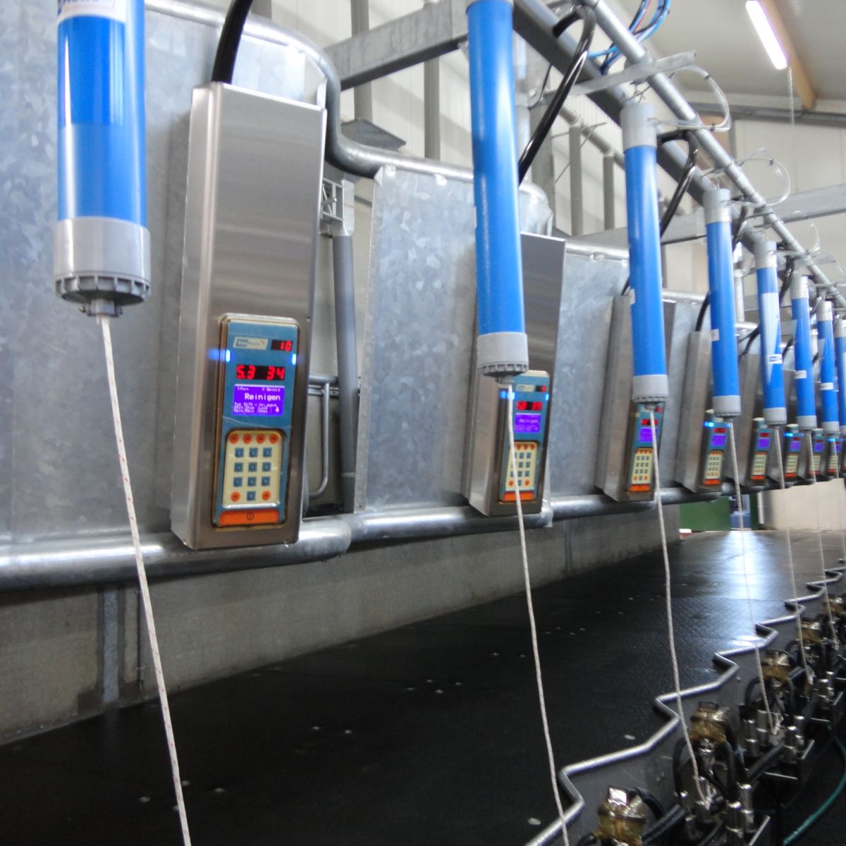 Milking Solutions | Milking Systems | Dairy Repairs | Dairy Machinery Maintenance | Dairy Machinery Repairs | Wooldridge Milking Technologies | Milking Parlour