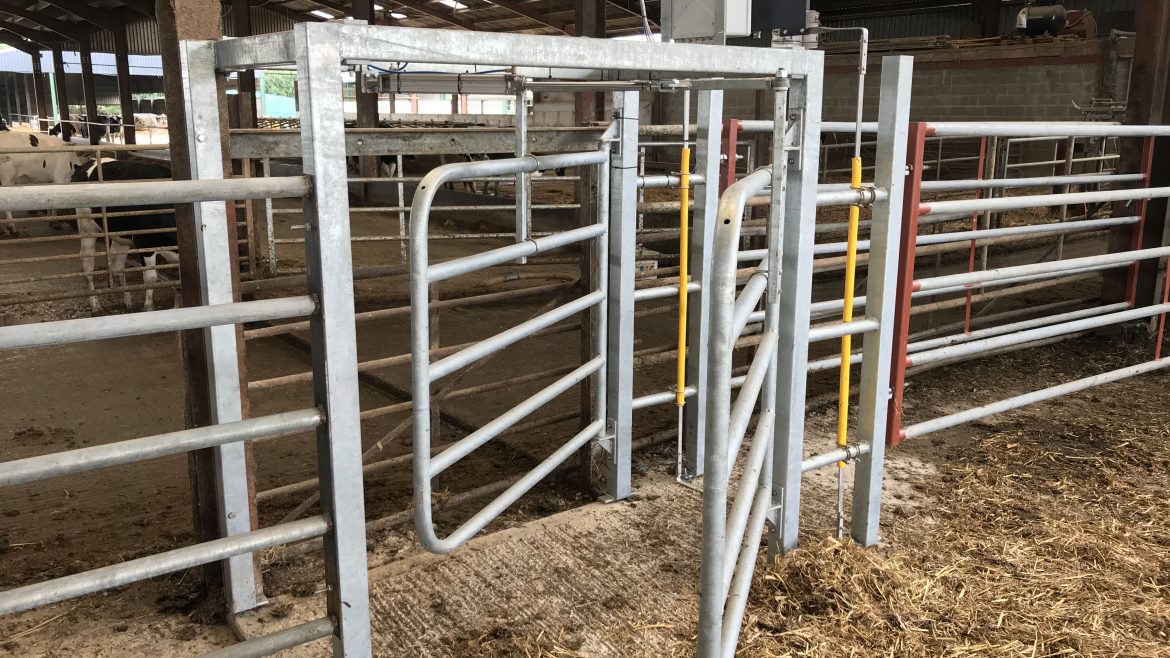 Sort gate