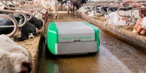 Barn-E manure scraper