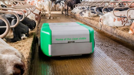 Barn-E manure scraper