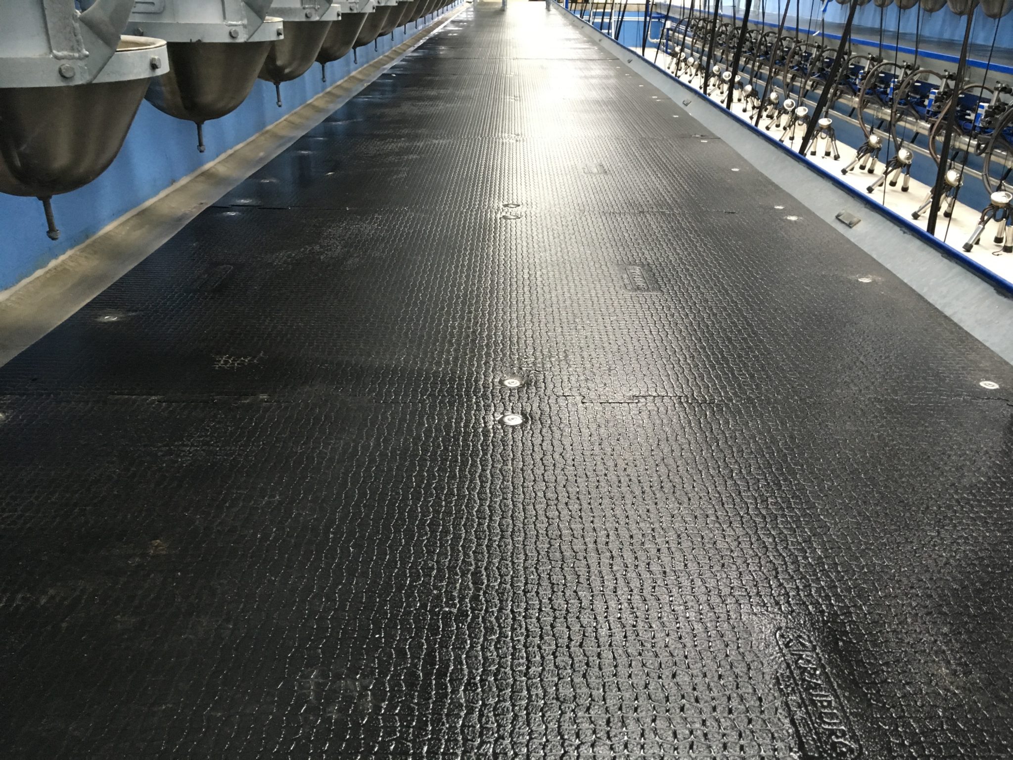 Kura P Matting